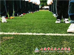 84988C08A9362A647A5F36E1ED2802E3