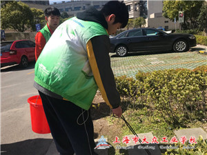 C37E82EDDC9321205873A8C8892D0BCF