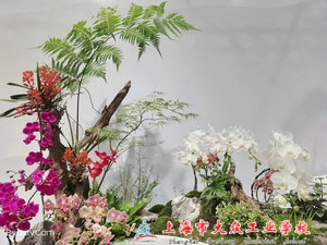 eaf11f3ee8d49dcf42ceb409cfc4449