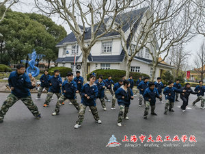 IMG_20250313_100146_1